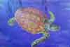 Turtle-Mural